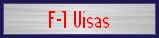 F-1 Visas