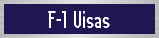 F-1 Visas