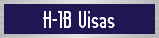 H-1B Visas