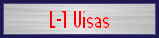 L-1 Visas