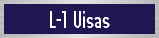 L-1 Visas
