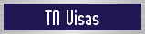 TN Visas
